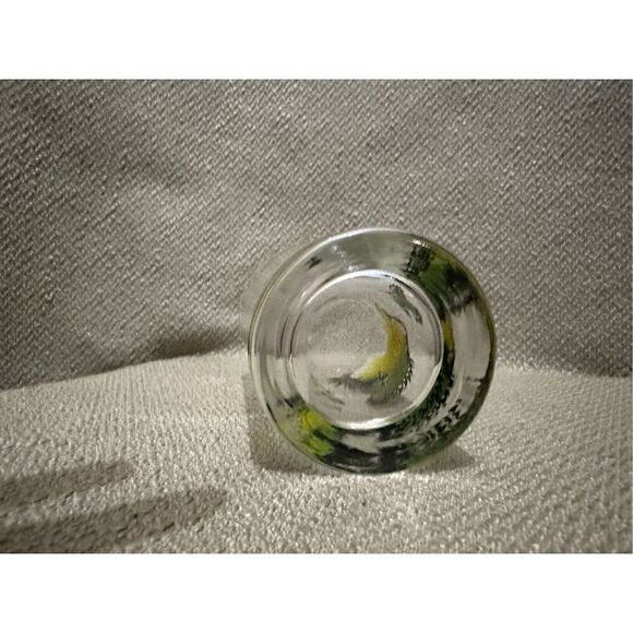 Vintage Hazel Atlas Wild Fowl Quail Bird Glass Tumbler 5” Retro MCM - Picture 5 of 8